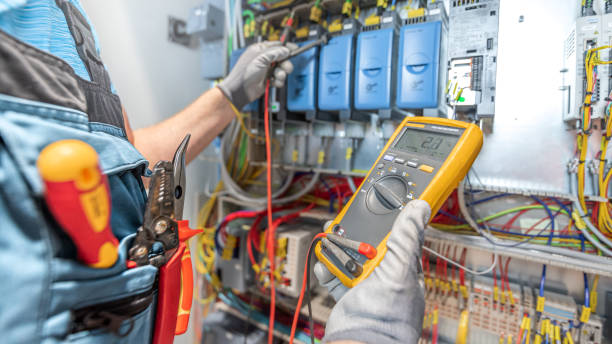 Best Electric Panel Repair  in Eming Island, FL