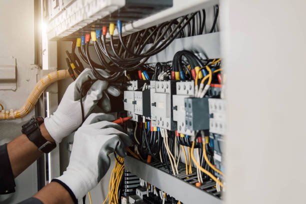 Best Electric Panel Repair  in Eming Island, FL